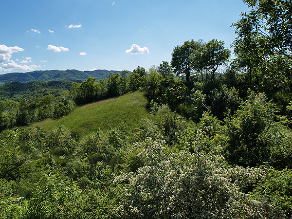 Oasi naturalistica del Carmine